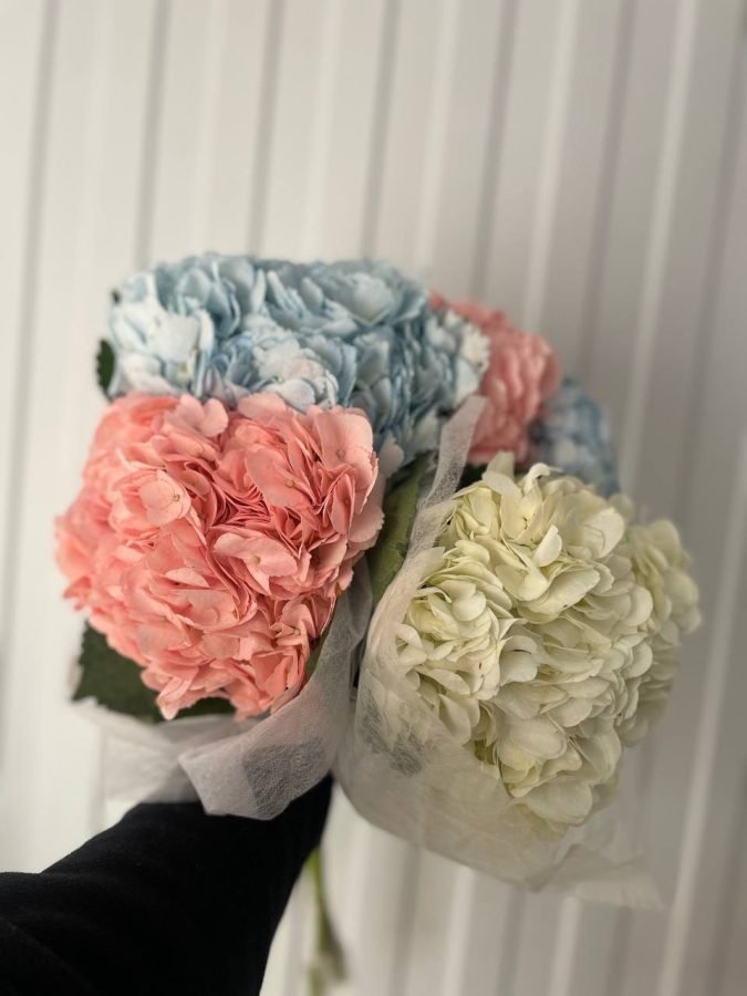 гортензия микс — Калач-на-Дону, Новое
