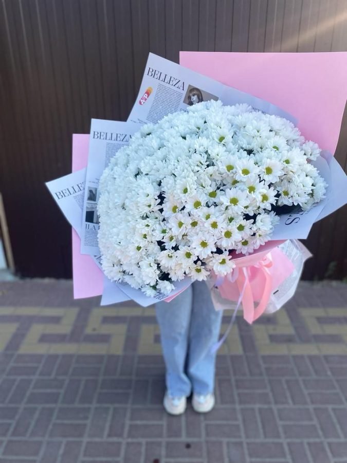 Хризантема белая кустовая букет 61 шт. 50 см. (Голландия) — Волгоград, Новое