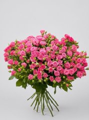 Роза спрей Лиана 60 см — Волгоград, Новое