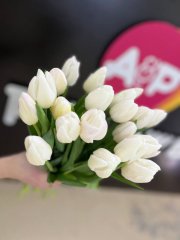 Тюльпан вайт Марвел — Калач-на-Дону, Новое