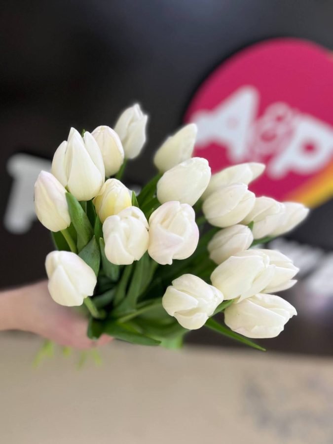 Тюльпан вайт Марвел — Волгоград, Новое